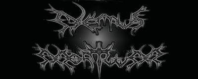 logo Nemus Mortuum